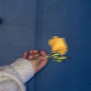 Meet your Posher, Anise